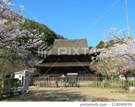 春天的高山寺,藍天下的佛堂,櫻花盛開 春天的高山寺,藍天下的佛堂,櫻花盛開 118090659