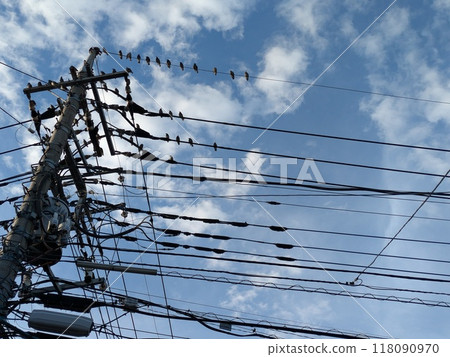 在秋天藍色的天空下，一群黑鳥棲息在電線桿和電線上 118090970