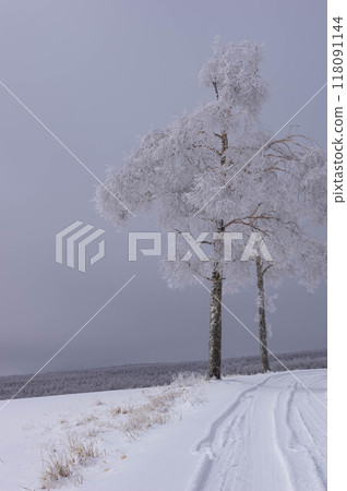 Landscape of a pasture after ice glaze and snowfall 118091144