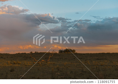 Argentine countryside landscape, La Pampa province, Patagonia, Argentina. 118091755