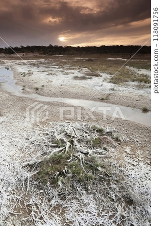Saltpeter on the floor of a lagoon in a semi desert environment, La Pampa province, Patagonia, Argentina. Saltpeter on the floor of a lagoon in a semi desert environment, La Pampa province, Patagonia, Argentina. 118091756