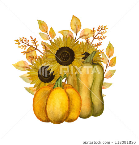 Isolated object-142. Hand drawn autumn illustration, pumpkins and sunflowers. 118091850