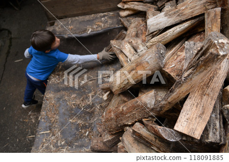 Toddler boy in work gloves unloads a trailer with firewood against the background of a rural yard. Concept of helping in the family, family values. 118091885