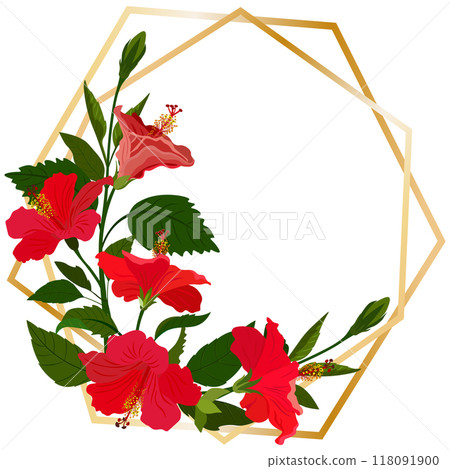 Isolated object-73. Hibiscus flowers, golden frame, white background. Isolated object-73. Hibiscus flowers, golden frame, white background. 118091900