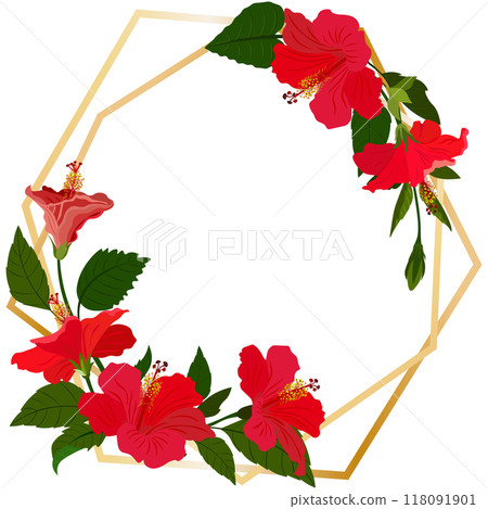 Isolated object-74. Hibiscus flowers, golden frame, white background. Isolated object-74. Hibiscus flowers, golden frame, white background. 118091901