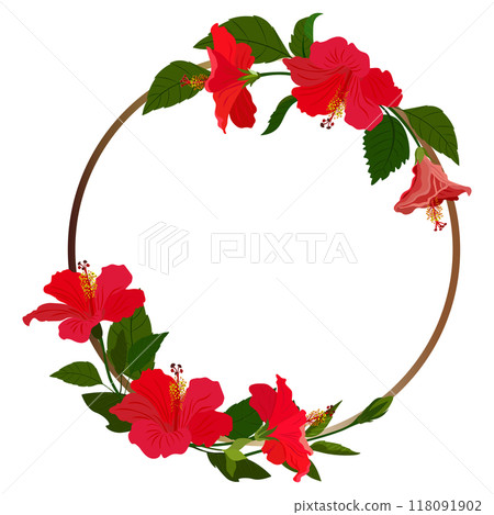 Isolated object-75. Hibiscus flowers, golden frame, white background. Isolated object-75. Hibiscus flowers, golden frame, white background. 118091902