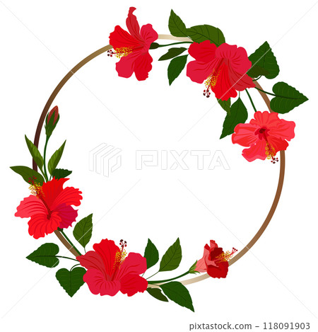 Isolated object-76. Hibiscus flowers, golden frame, white background. 118091903