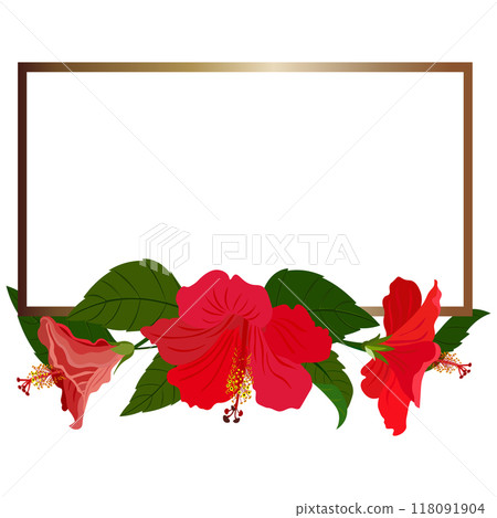 Isolated object-77. Hibiscus flowers, golden frame, white background. 118091904