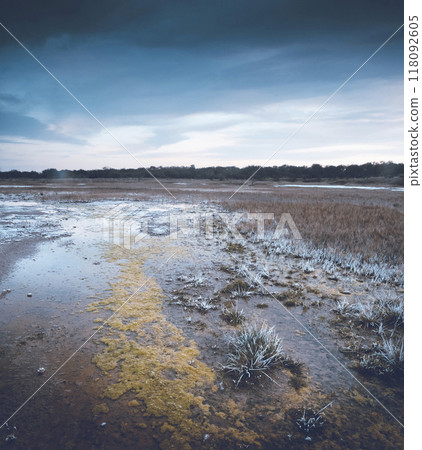 Saltpeter on the floor of a lagoon in a semi desert environment, La Pampa province, Patagonia, Argentina. 118092605
