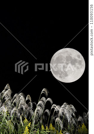 Autumn moon viewing image with Japanese pampas grass and the full moon 118093156