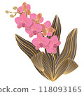 Isolated object-55. Blooming orchid, luxury golden line art, isolated on white background. 118093165