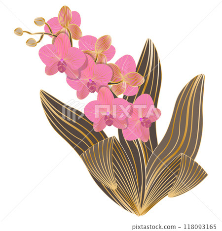 Isolated object-55. Blooming orchid, luxury golden line art, isolated on white background. 118093165