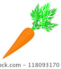 Isolated object-61. Carrot isolated on white background. 118093170