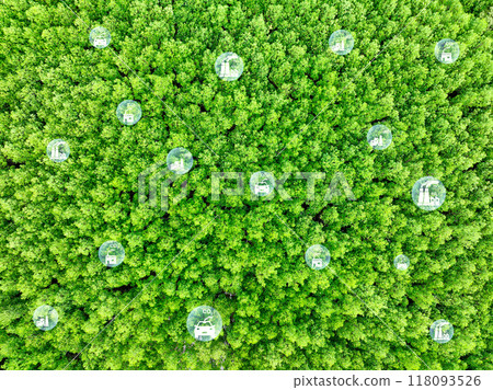 Carbon neutrality concept. Green tree capture of carbon emissions from factories and transportation. Natural carbon sinks, CO2 reduction, pollution balance, and environmental sustainability. 118093526