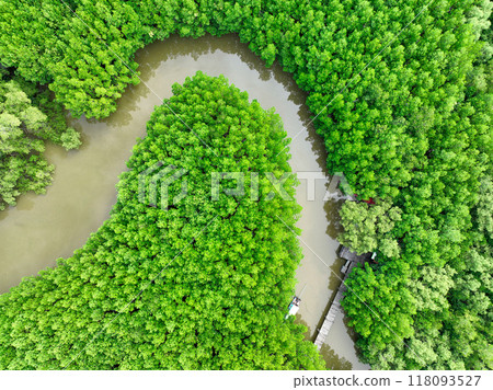 Aerial view green mangrove forest. Natural carbon sinks. Mangroves trees capture CO2. Blue carbon ecosystems. Mangroves absorb carbon dioxide emissions and mitigating global warming. Green ecosystem. 118093527
