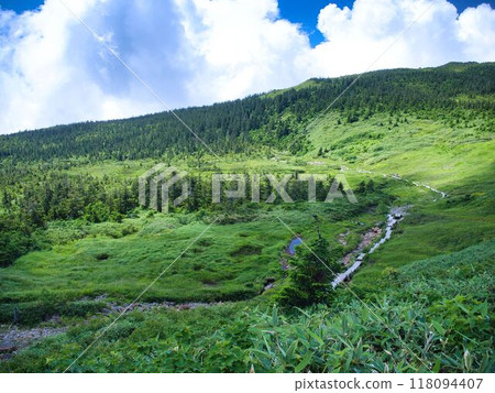 前往西妻山途中的小高原 118094407