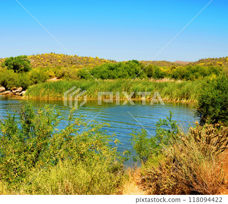 Spring at Saguaro lake in Arizona 118094422