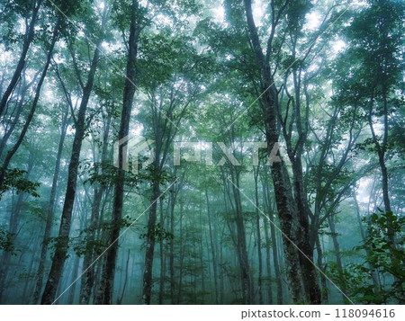 Walking through the fumes of Mt. Bandai Walking through the fumes of Mt. Bandai 118094616