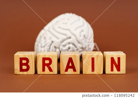 Exploring the intricacies of the brain highlighted by wooden blocks spelling out 'brain' against a warm brown backdrop in a scientific setting Exploring the intricacies of the brain highlighted by wooden blocks spelling out 'brain' against a warm brown backdrop in a scientific setting 118095242