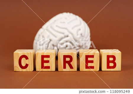 Creative representation of brain health through wooden blocks spelling CEREB alongside a detailed brain model 118095249