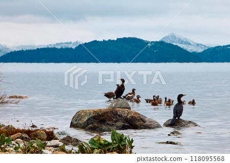 Scenic view of a rocky coastline with ducks, trees and bushes against the backdrop of distant mountains under a blue sky Scenic view of a rocky coastline with ducks, trees and bushes against the backdrop of distant mountains under a blue sky 118095568