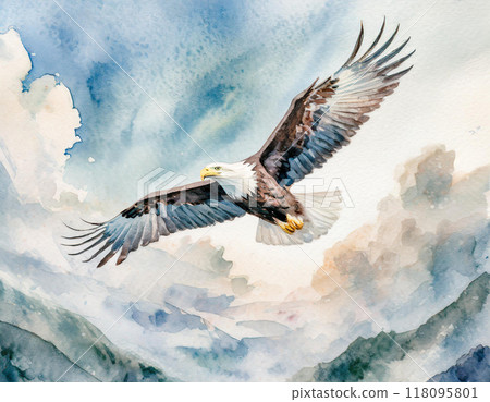 禿鷹畫水彩 118095801