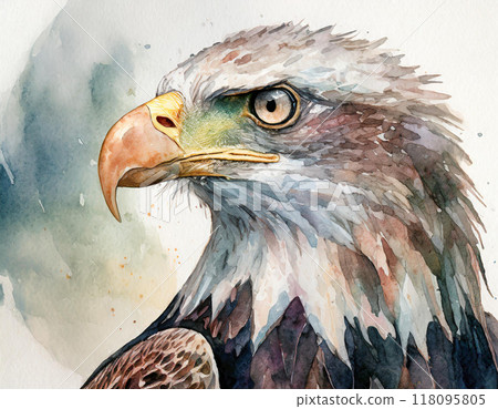 禿鷹畫水彩 禿鷹畫水彩 118095805