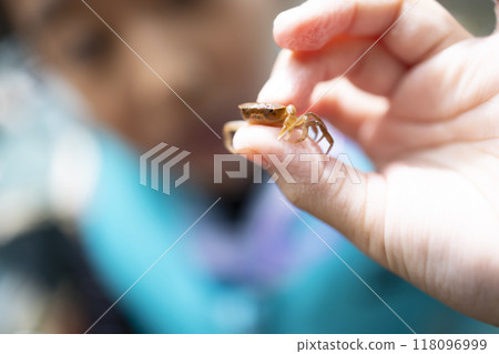 河裡抓螃蟹的女孩 118096999