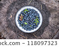 Wild blueberries collected into a bowl on an old stump in the forest. Foraging on wild berries in Scandinavia. Concept of healthy eating 118097323