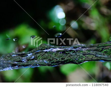 Water flow and greenery Water flow and greenery 118097540