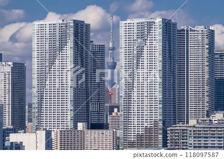 東京灣區塔樓大廈的“東京”風光 118097587