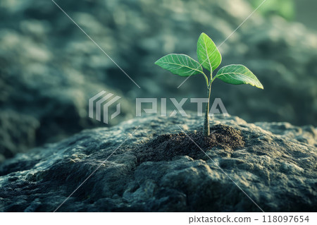 Vibrant plant sprouts from a weathered tree trunk. New life concept 118097654