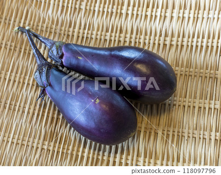Harvested eggplant Harvested eggplant 118097796