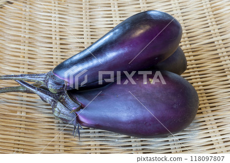 Harvested eggplant 118097807