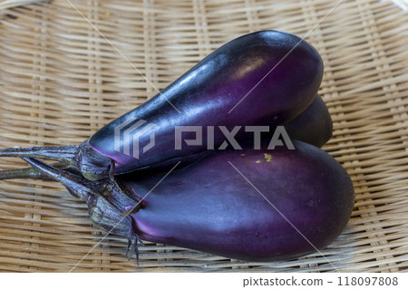 Harvested eggplant 118097808