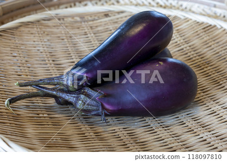 Harvested eggplant 118097810