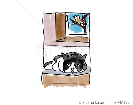 Cat sleeping on a rug Cat sleeping on a rug 118097952