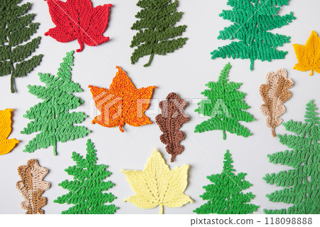 Knitted green fern leaves and autumn yellow and red maple and oak leaves. Autumn background with place for text. Top view, flat lay. Knitted green fern leaves and autumn yellow and red maple and oak leaves. Autumn background with place for text. Top view, flat lay. 118098888