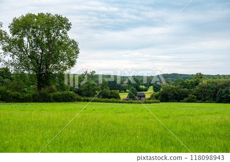 Green hills and meadows at the Belgian countryside with the Chateau Thor in the background, Lontzen, Belgium Green hills and meadows at the Belgian countryside with the Chateau Thor in the background, Lontzen, Belgium 118098943
