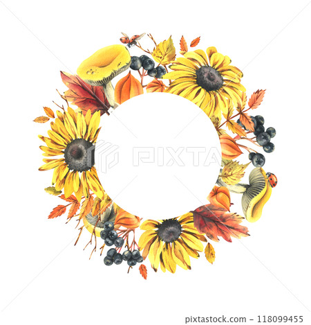 Autumn berries physalis, chokeberry, rowan leaves, maple, birch, russula mushrooms, rudbeckia flowers, tree branches and ladybugs. Watercolor illustrations. Round frame wreath isolated from background 118099455
