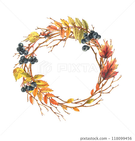 Autumn berries chokeberry, rowan leaves, maple, birch, tree branches and ladybugs. Watercolor illustrations. Round frame wreath isolated from background 118099456