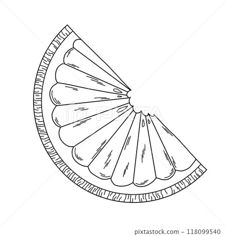 Citrus slice, black line on white background, orange, grapefruit, lemon, doodle style illustration Citrus slice, black line on white background, orange, grapefruit, lemon, doodle style illustration 118099540
