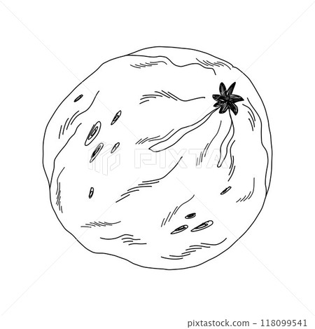 Line Illustration of citrus, black on white background. Outline for design and packaging Line Illustration of citrus, black on white background. Outline for design and packaging 118099541
