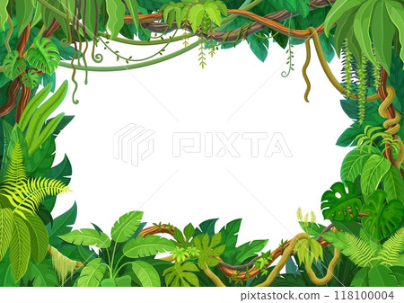 Tropical liana frame of jungle forest ivy branches or creeper plant vine, cartoon vector background. Tropical liana frame or rainforest jungle bindweed tree borders or hedera vine and monstera leaves 118100004