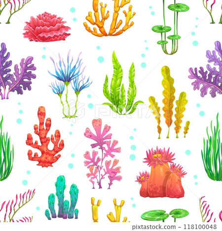 Cartoon underwater seaweeds seamless pattern, aquarium and sea algae vector background. Coral reef plants pattern of ocean undersea colorful seaweeds and algae with actinia flowers and aquatic leaves Cartoon underwater seaweeds seamless pattern, aquarium and sea algae vector background. Coral reef plants pattern of ocean undersea colorful seaweeds and algae with actinia flowers and aquatic leaves 118100048