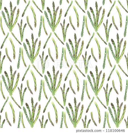 Spring green asparagus sprouts seamless pattern in realistic style. Fresh uncooked vegetable stems bundle watercolor food illustration. For dish presentations, menu, kitchen textile decor Spring green asparagus sprouts seamless pattern in realistic style. Fresh uncooked vegetable stems bundle watercolor food illustration. For dish presentations, menu, kitchen textile decor 118100646