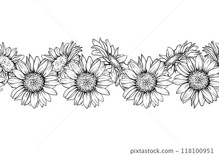 Sunflower seamless border. Hand draw Sketch pen and ink vintage vector illustration on white background. Botanical graphic engraving design Sunflower seamless border. Hand draw Sketch pen and ink vintage vector illustration on white background. Botanical graphic engraving design 118100951