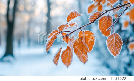A close up of a tree branch covered in frost, AI A close up of a tree branch covered in frost, AI 118102263