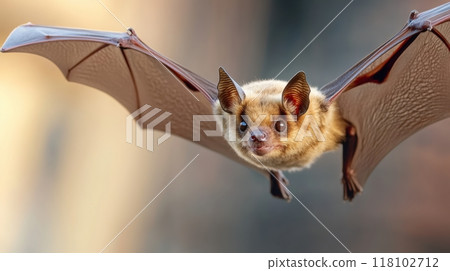A close up of a bat with large eyes flying in the air, AI 118102712
