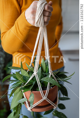 Woman holding macrame plant hanger with houseplant Hoya gracilis in pot. Handmade hobby at home Woman holding macrame plant hanger with houseplant Hoya gracilis in pot. Handmade hobby at home 118102792